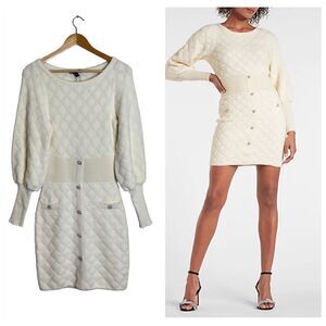 Express Swan Sweater Dress NWOT